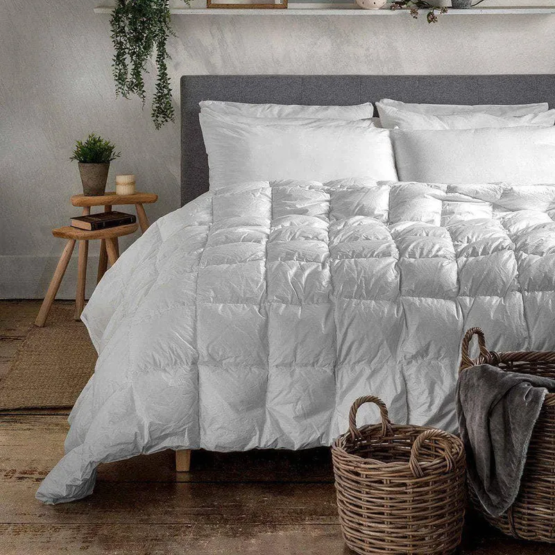 LUXURY COLLECTION DI MAESTRO Piumino Piazza e Mezza 155x220 750 Winter - Made in Italy