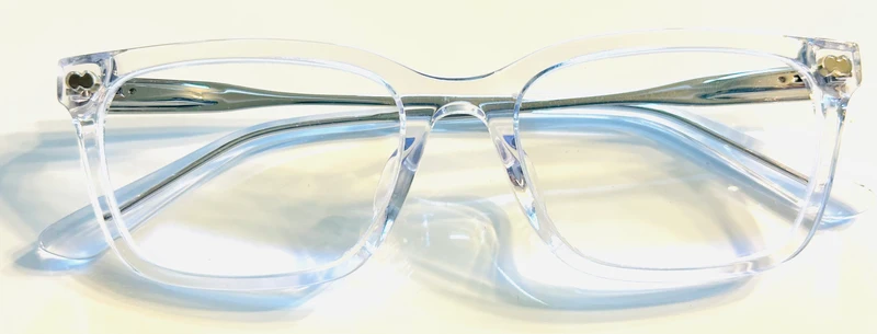 PAIR Classic Crystal Clear Acetate Silver Metal Larkin Frames