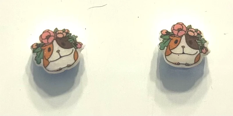 Guinea Pig Charms